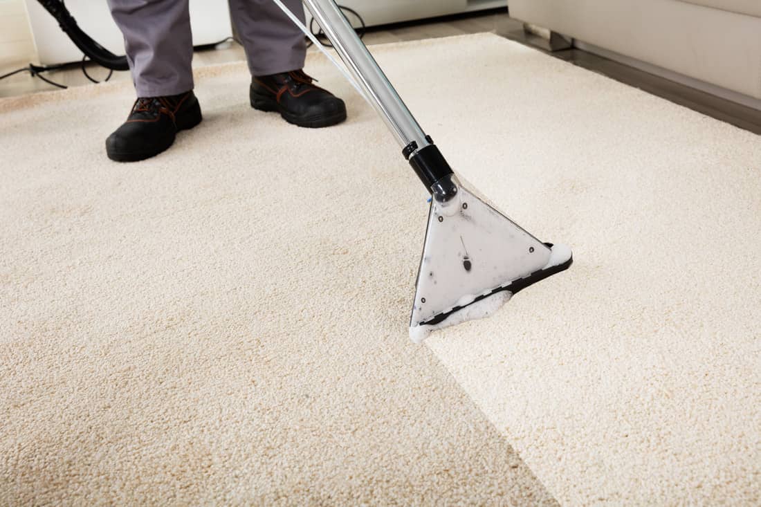 carpet cleaning service